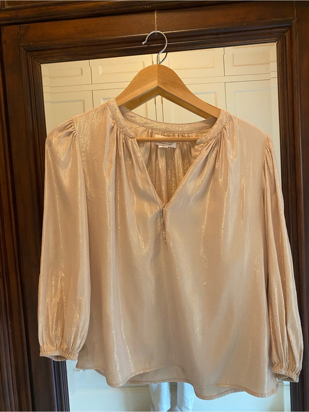 Velvet by Graham & Spencer Shimmery Soft Gold V-Neck Blouse